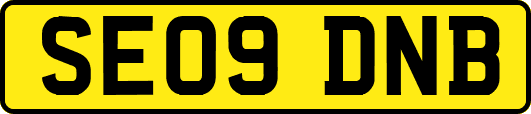 SE09DNB