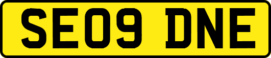 SE09DNE