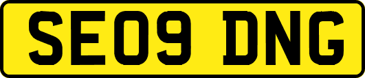 SE09DNG