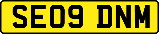 SE09DNM