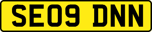 SE09DNN