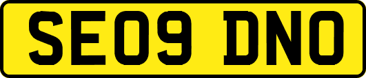 SE09DNO