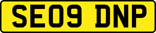 SE09DNP
