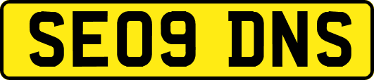 SE09DNS