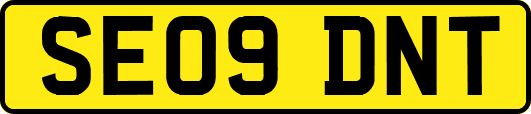 SE09DNT