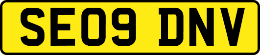 SE09DNV