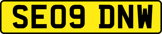 SE09DNW