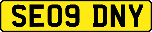 SE09DNY