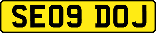 SE09DOJ