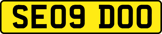 SE09DOO