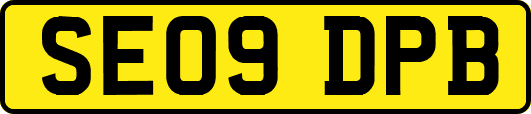 SE09DPB