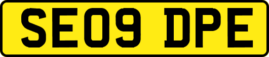 SE09DPE