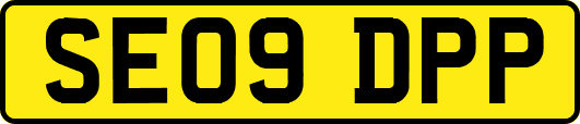 SE09DPP