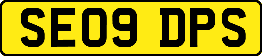 SE09DPS