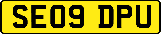 SE09DPU
