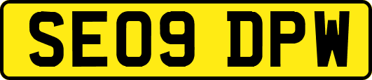 SE09DPW