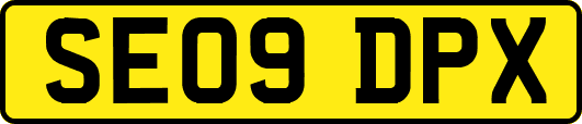 SE09DPX