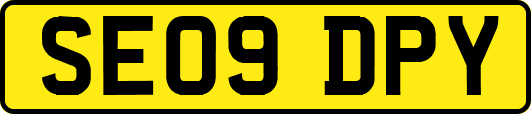 SE09DPY