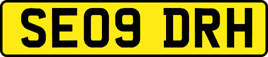 SE09DRH