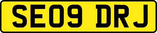 SE09DRJ