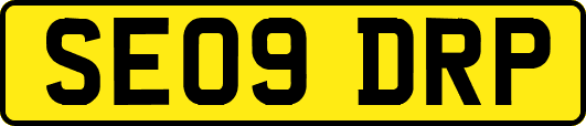 SE09DRP