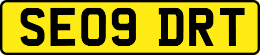 SE09DRT