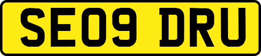 SE09DRU