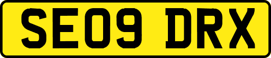 SE09DRX