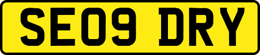 SE09DRY