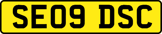 SE09DSC