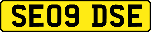 SE09DSE