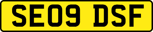 SE09DSF