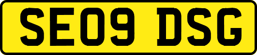 SE09DSG