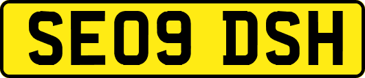 SE09DSH