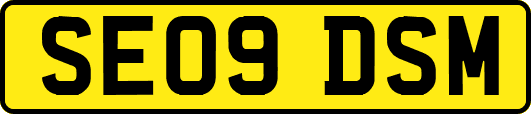 SE09DSM