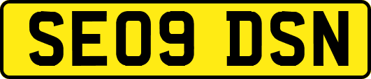 SE09DSN