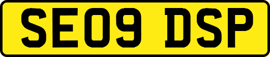 SE09DSP