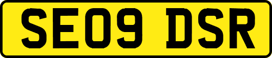 SE09DSR