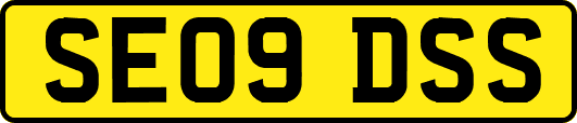 SE09DSS
