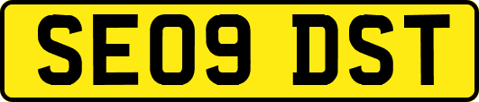 SE09DST