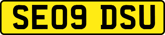 SE09DSU