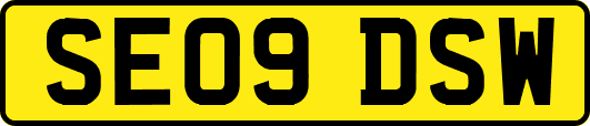 SE09DSW