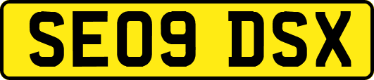 SE09DSX