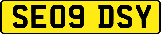 SE09DSY