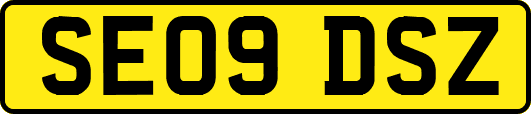 SE09DSZ