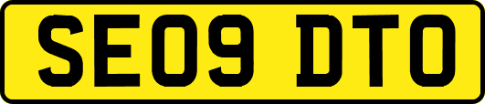 SE09DTO