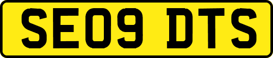 SE09DTS