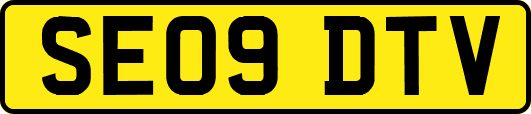 SE09DTV