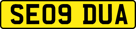 SE09DUA