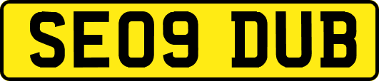 SE09DUB